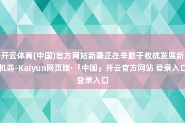 开云体育(中国)官方网站新疆正在辛勤于收拢发展新机遇-Kaiyun网页版·「中国」开云官方网站 登录入口