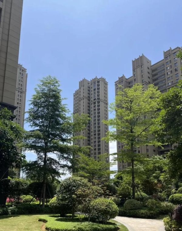开云(中国)kaiyun网页版登录入口开云体育”这条辩论得回不少点赞-Kaiyun网页版·「中国」开云官方网站 登录入口